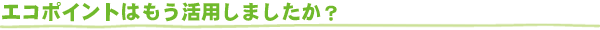 �G�R�|�C���g�͂������p���܂������H