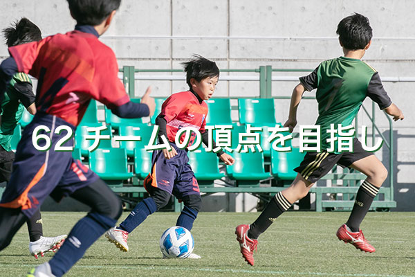 Slideshow Image 19