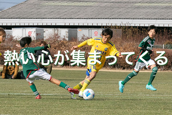 Slideshow Image 16